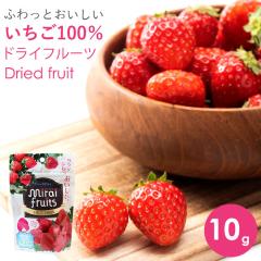 �h���C�t���[�c ������ �x�r�[�t�[�h 9���� �M�t�g �~���C�t���[�c ������ 10g