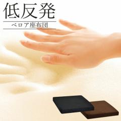 ���[ �x���A�ᔽ�����z�c   �I�ׂ�J���[ ���z�c �x���A���n 40�~40 ���̕��S�y�� ���� ������ �Y���Ȃ� ���O���\ �􂦂� �N�b�V����