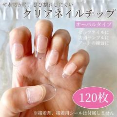 �l�C�� �A�[�g �Z���t �I�[�o���^�C�v �� �N���A �`�b�v �g���̂� �l�C���X�g �W�F�� �f�U�C�� �T���v�� 120��