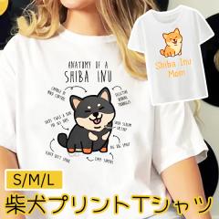 �����p ���f�B�[�X ���� �� T�V���c �Č� �ێ� ���E���h�l�b�N ���Ό� ���� ���[���E�F�A ������ �A�j�}�� ���� �J�W���A�� �t�@�b�V��