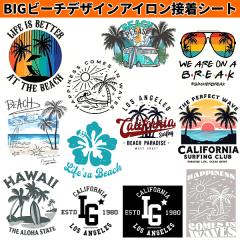 BIG �r�[�` �o�P�[�V���� �C���X�g �A�C���� �ڒ� �V�[�g �v�����g �V�[�� �X�e�b�J�[ �M�]�ʎ� �����C�N �f�U�C�� T�V���c  �o�b�O �傫