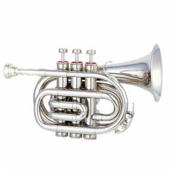 Maxtone |Pbggybg TM-100N