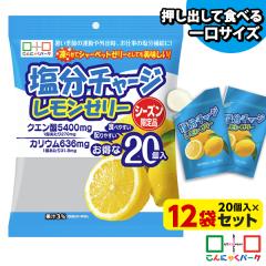 20%OFF ����ɂႭ�p�[�N �[���[ �����`���[�W�������[���[ �Č��� �ЂƂ����[���[ ��^�C�v �M���Ǒ΍� ���R�I�f�C���[�t�[�Y ����