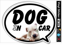 ybgXebJ[ hbOCJ[ DOG IN CAR 2C SK396 hbO XebJ[  ObY