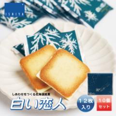l 12 x10  Ή kC  yY v[g XC[c َq OhV zCg `R[g x