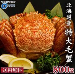 �k�C���Y ���� �ъI 800g �V�R�É� �g�� �؂�g8�� �Z�b�g �������� �уK�j �т��� ���� �I �{�C�� �C�N�Z�b�g �H�ה�� �k�C���O���� ��