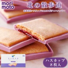  k̎U nXJbv 8 morimoto Mtg َq yY kC v[g xĂ߂ ̓  䒆