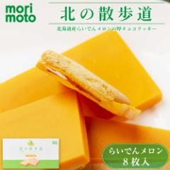  k̎U 炢ł񃁃 8~1 morimoto Mtg َq yY kC v[g xĂ߂ ̓  