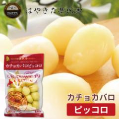 J`Jo sbR 150g  ͂₫ J`Jo TCY `[Y kC yY `[Y \ Mtg xĂ߂ ̓