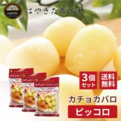 J`Jo sbR ͂₫ 150g~3Zbg kC J}x[`[Y C Mtg i``[YReXg 