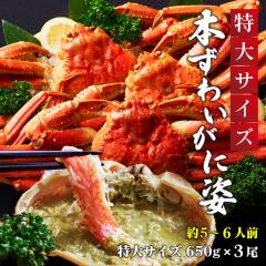 {YCKj p 650g 3Zbg  YCI 킢 킢I Jj  CN Mtg Dys O I 킢 킢