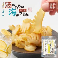 CN Pi T[̂߂̃NNRN| 38g [  v[g  kCH Mtg ێscX x