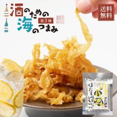 CN Pi T[̂߂̂قďĊLЂo^[ݖ 31g [  v[g  kCH Mtg ێsc