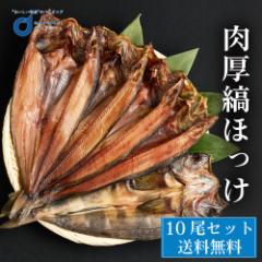 yOY̓zy|Cg10{z ق Ȃق 500Ox10 kC ق J zbP  kC Os꒼ Mtg 