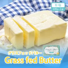 ~NfUC OXtFbho^[Li100g~1jY I[KjbN L o^[ kC yY Mtg xĂ߂ ̓ 