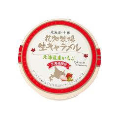 �Ԕ��q�� ���L�������� �k�C���Y�������i�퉷�^�C�v�j64g �k�C�� ���y�Y ������ �z���C�g�f�[  ���Ԃ�