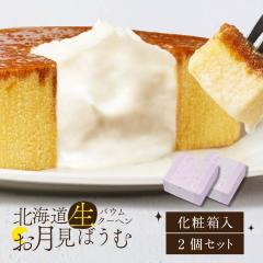 o[N[w Mtg kC oE 2Zbg N[udグ  oEN[w Ăَq Mtg  XC[