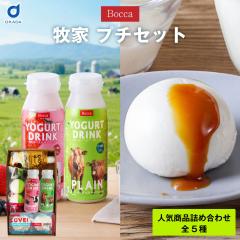 �q�� �v�`�Z�b�g �����v���� ���ރ��[�O���g �v���[�� �����x���[ �ǐm���� ������`�[�Y�\�[�X �J���R���C���b�g �k�C�� �X�C�[�c ����