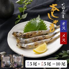 �k�C���Y��������I�X5���{���X5�� ���v10���Z�b�g �k�C���Y �{������� ���t�� ������� ���� �C�N ���� ���܂� ���̍� ���т̂��� �k