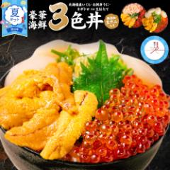 海鮮丼セット 北海道 豪華海鮮三色丼 海鮮丼セット 3色丼 海鮮 ギフト 刺身 冷凍 ネギトロ 冷凍 海鮮セット ウニ イクラ 送料無料 内祝い