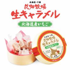 花畑牧場 生キャラメル いちご 8粒 送料無料 北海道産 スイーツ 手造り とろける プレゼント 贈り物 お土産 手土産 ギフト フリーズドラ
