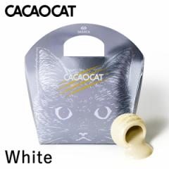 CACAOCAT zCg 5  `R[g Hה yY yY lC _[N ~N  zCg Xgx[ JJI o^