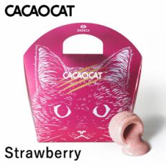 CACAOCAT Xgx[ 5  `R[g yY yY lC _[N ~N  zCg Xgx[ JJI DADACA JJI