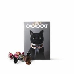 CACAOCAT ~bNX 9 CAT Xgx[ _[N ~N zCg w[[ibc `R[g kC yY Mtg JJILbg 