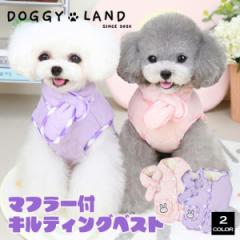  hbOEFA _u|PbgLeBOxXg }t[t  H ~   ̕ hM[ DOGGYLAND  킢