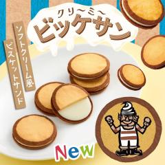 ���� �N���`�~�`�r�b�P�T�� 6���� 3�Z�b�g �������� �\�t�g�N���[�����r�X�P�b�g�T���h �k�C�� �эL�s ���َq ����� �r�X�P�b�g �T��