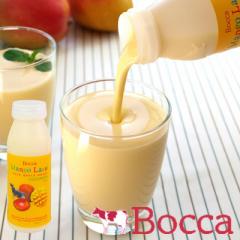 bocca q }S[bV[ 200ml 2Zbg  kC  VN  }S[ ċG  yY yY 蕨 M