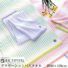 ��B�^�I�� �O���f�[�V���� �o�X�^�I�� �y��60�~120�z���{�� ���b�t�����o�X�^�I�� 