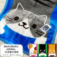 WAKUWAKU ANIMAL Ђ| y70~100cmẑт˂ ̂т ӂ ӂӂ  uPbg 킢 Aj} Ob