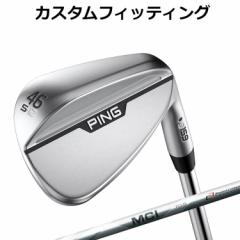 yJX^tBbeBOzs  S159 CHROME  WEDGE MCI 125 WEDGE Vo[ J[{Vtg Y Ep N[ EFbW St 