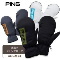 sAC-U2504 dq~gO[u h΍ ΍ Y t@Xi[[t nhZp[g^Cv Stpi 2025Nf P