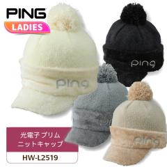 s HW-L2519 dqujbgLbv fB[X KODENSHI wbhEFA H~p ΍ Stpi 2025Nf PING