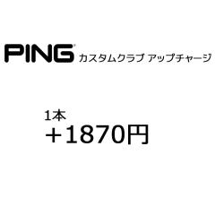 PING �J�X�^���N���u �L���O���b�v�������p 1�{���i 1870�~�p