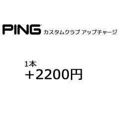 PING �J�X�^���N���u �L���O���b�v�������p 1�{���i 2200�~�p