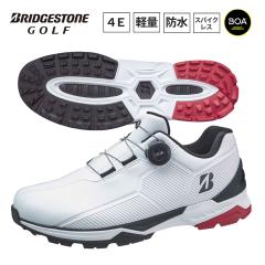 �u���a�X�g�� �S���t�V���[�Y �����Y �[���E�X�p�C�N �o�C�^�[ ���C�h SH2507 WK ���~�� 4E �X�p�C�N���X �{�A �_�C������ 2025�N���f�� 
