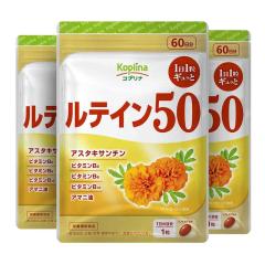 eC50 60 3܃Zbg 180y\tgJvZ/11/Zx/}[S[hR/AX^LT`/[ALT`/r^~/A}