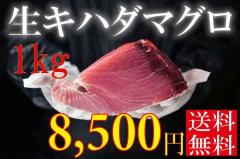 生キハダマグロ刺身