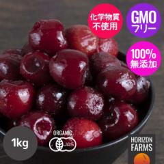 �L�@ JAS �I�[�K�j�b�N �t���[�c �Ⓚ �_�[�N�X�C�[�g�`�F���[ �g���R�Y ���w�����s�g�p 1kg ���Y�� �Ⓚ�`�F���[ �����s�g�p ��Ȃ�