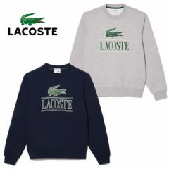 LACOSTE RXe 3DvgNVbNN[lbNXEFbg [Lot/SH1228-99] XEFbg g[i[ TVc tVc  vg 