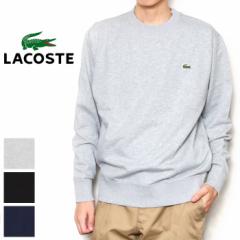 LACOSTE RXe v~AXEFbgN[lbN [Lot/SH6913-99] XEFbg g[i[ t tVc  S Y j 