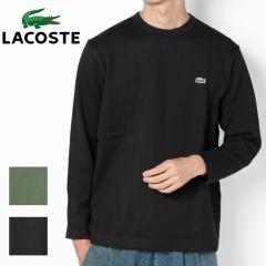 LACOSTE ���R�X�e �j�b�g �J�b�g�\�[ �w�r�[�E�F�C�g �V���O���W���[�W ����T�V���c TH067J �j�b�g ���j���S �N���[�l�b�N �����b�N�X�t