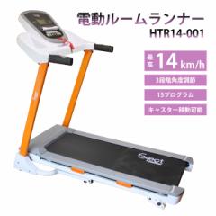 HTR14-001_000_top.jpg