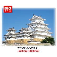 �傫�������C�|�X�^�[ �P�H�� �}�O�l�b�g�V�[�g�� ��z�֑�������