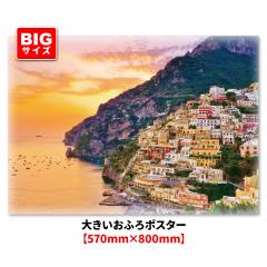 �傫�������C�|�X�^�[ �A�}���t�B�C�� �}�O�l�b�g�V�[�g�� ��z�֑�������