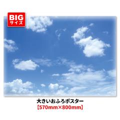 �傫�������C�|�X�^�[ �� �}�O�l�b�g�V�[�g�� ��z�֑�������