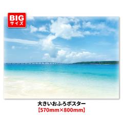 �傫�������C�|�X�^�[ �{�Ó� �}�O�l�b�g�V�[�g�� ��z�֑�������